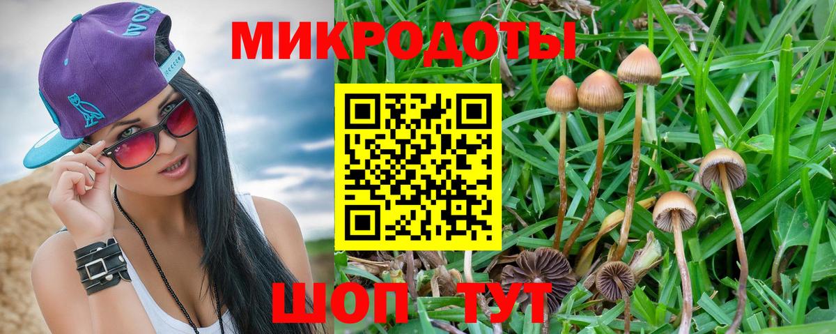 Магадан  Псилоцибиновые грибы MAGIC MUSHROOMS  Вход с VPN 
