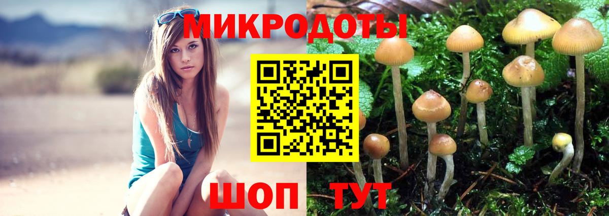 Псилоцибиновые грибы GOLDEN TEACHER Магадан